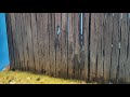 How to build a wooden fence. Live stream 13