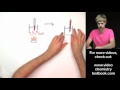Calorimetry and Heat Transfer Concepts