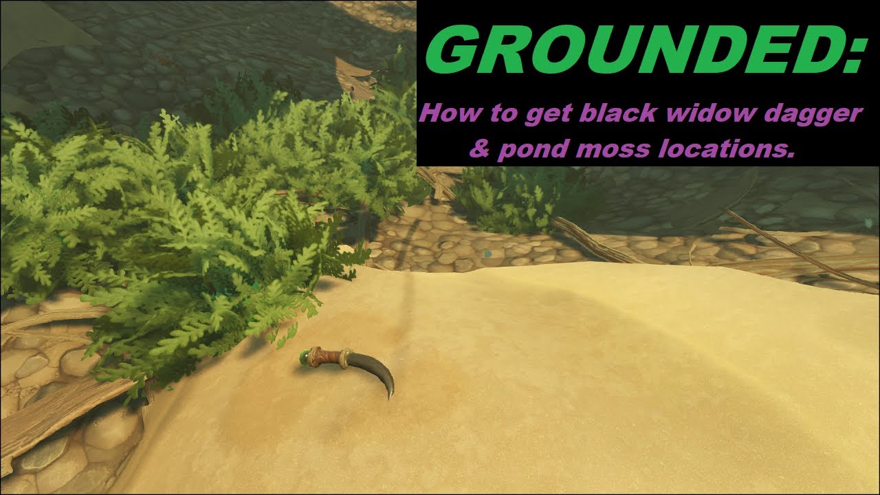 Grounded Where To Find Pond Moss YouTube