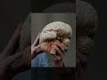 10 Сильных Фактов За Одну Минуту | #shorts
