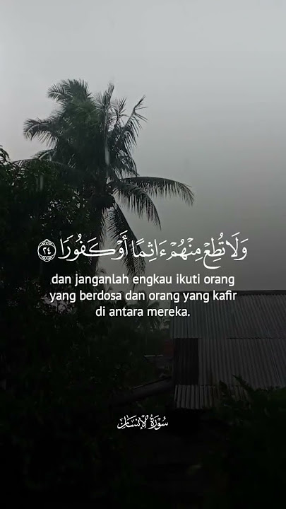 AL-QURAN #alquran #fyp