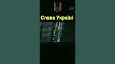 Vlady Dovgan