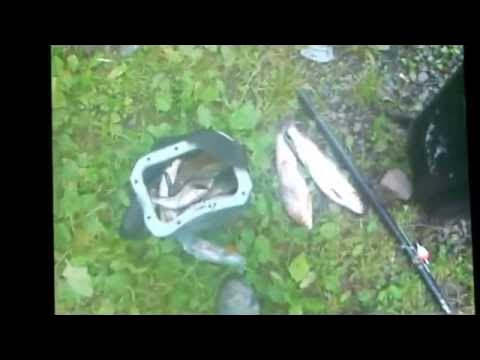 Река Горин