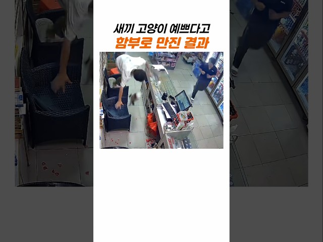 아깽이 만져보려다 등에 식은땀(?) 흐른 까닭