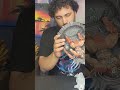 Iron Studios Shao Kahn Statue #unboxing #review #mortal #kombat #shaokahn #mk #mk1 #mk11 #fighting