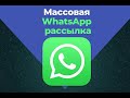 Рассылка в whatsapp  | Массовая рассылка вотсап | Программа для рассылки WhatsAppSender