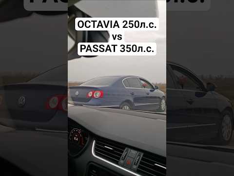 OCTAVIA A7 1.8T 250л.с. vs PASSAT B6 1.8T 350л.с. ГОНКА #автоврн #octaviaa7 #passatb6 #bmwm5 #skoda