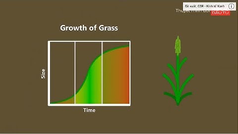 [Khóa 03][Phần 2] Buổi 3 - Cây sinh khối trong hệ thống vườn rừng