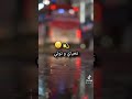 عشق الاوهام منك منزيد نامن واليوم عيشي حياتك صغيرة وشيء ما فاتك تعياي و تولي انا جامي نولي ليك