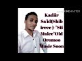 Kadiir Said Shibirree Oromoo Music 2020 Kadiir Said Shibirree Oromoo Music 2020