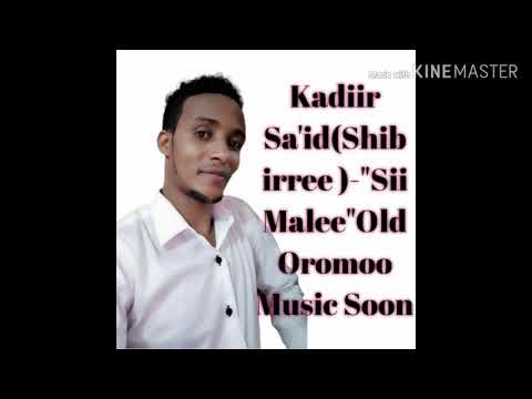 Kadiir Said Shibirree Oromoo Music 2020 
