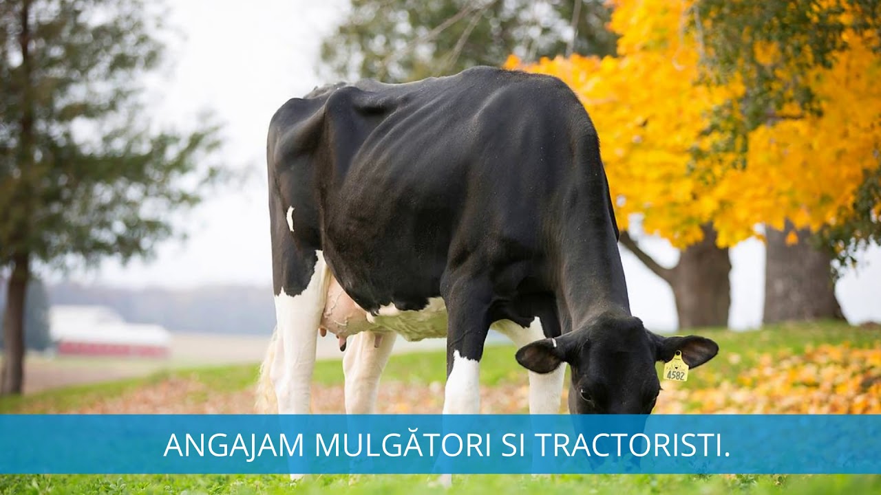 Angajare in ferma in Germania