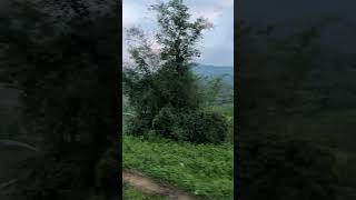 Haflong #short #viral #Haflong #assam #youtube 🙏❤️