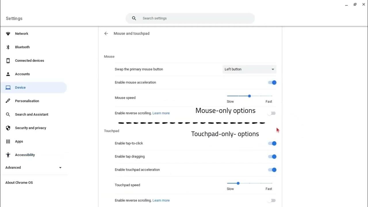 How to use Mouse/Touchpad Settings on your Chromebook? YouTube