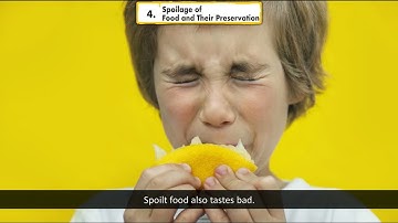 Ch 4 | EVS | Class 5 | Spoilage of Food and Their Preservation | For children