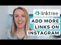 REVIEW | Use LINKTREE To Add More Links To Your INSTAGRAM BIO | EP 19