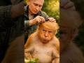 Putin Grooming a Trump Monkey at the Zoo #trump #putin #politicalsatire