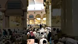 Sh Mohamed Al Faqih Surah Imran Beautiful Quran ❤️ Recitation #quran #shorts #madina #makkah #islam