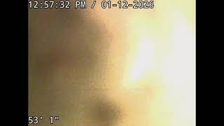1115 n gale 