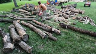 Cutting everything in the woodyard