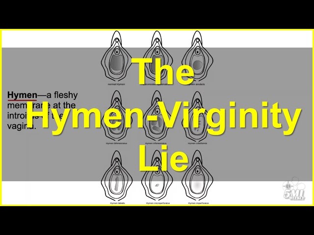 The Hymen-Virginity Lie class=