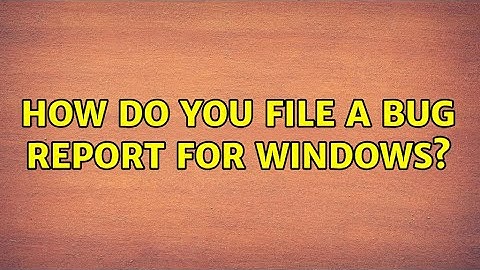 How do you file a bug report for Windows? (3 Solutions!!)