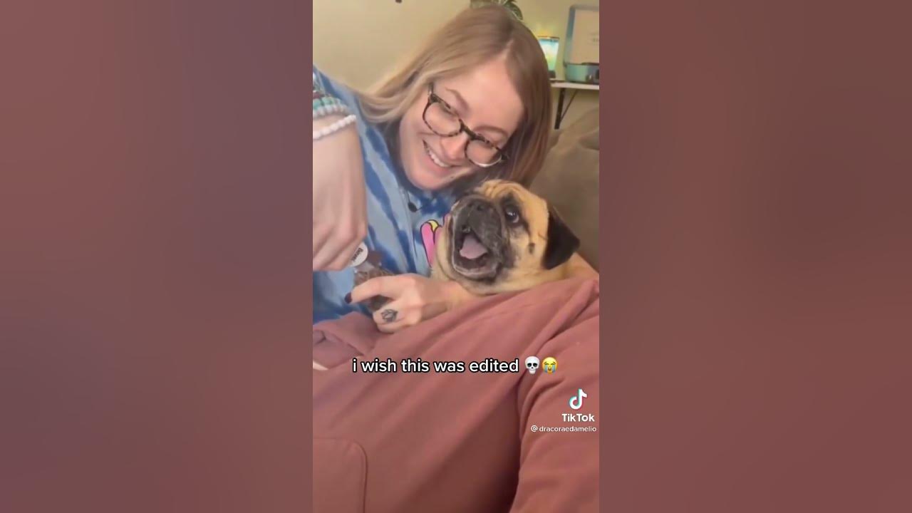 Dog Screams When Cutting Its Nails YouTube