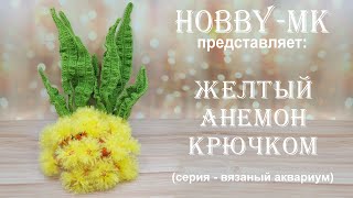 :    ( -  ,    )