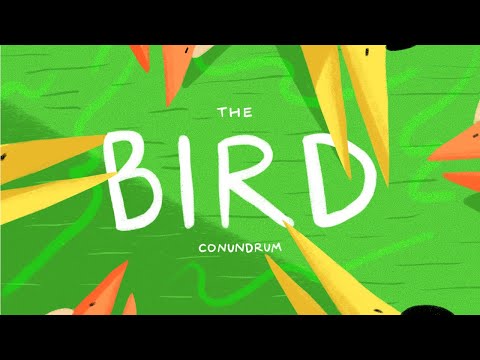 #24 The Bird Conundrum