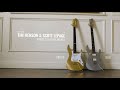 Tim henson  scottie lepage signature ibanez guitars