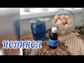 ЙОДИНОЛ / лікування курей - несучок.