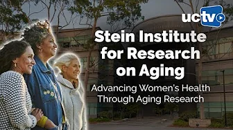 Stein Institute for Research on Aging