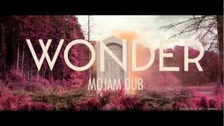 Naughty Boy - Wonder Ft Emeli Sandé (Mojam Dub Remix)