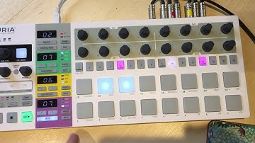 Headcam Jam : Live Synth Sequencing on the Beatstep Pro.