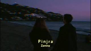 Pinjra (Slowed+Reverb) | Jasmine Sandlas | Badshah | Dr Zeus | Zamina