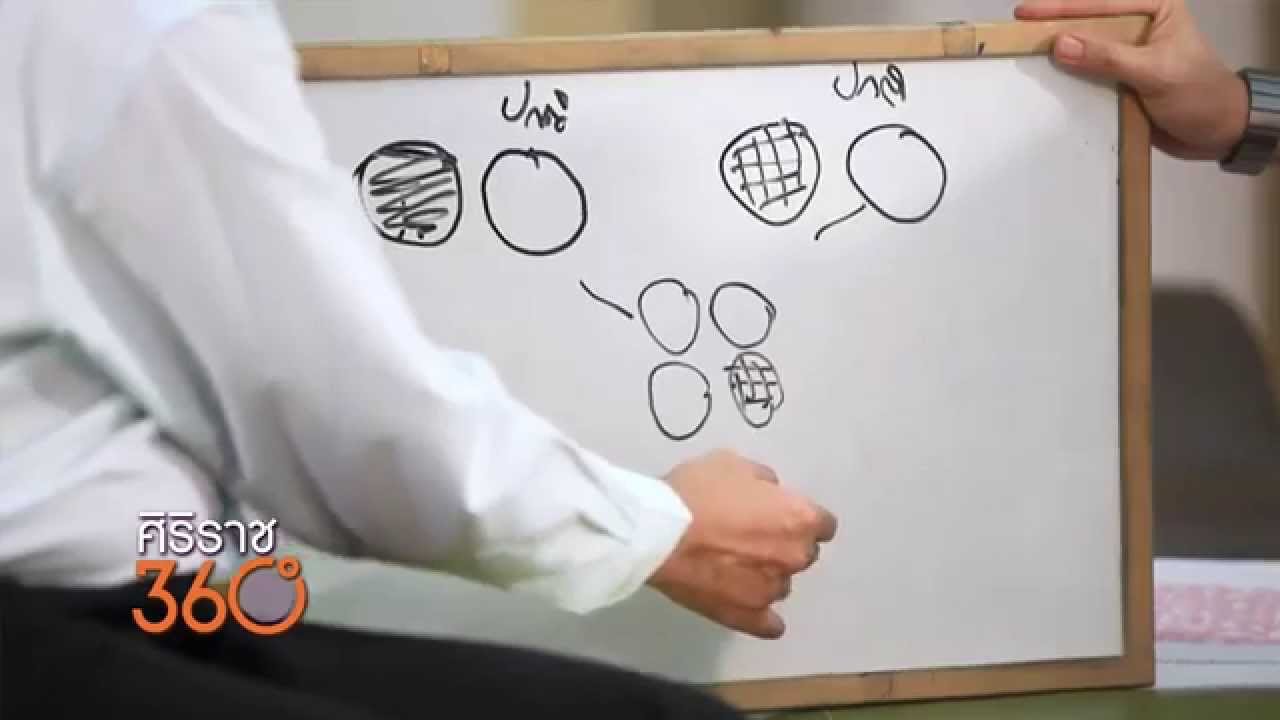[Clip] ศิริราช 360 องศา : อยากมีลูกต้องดู พ่อแม่เป็นพาหะธาลัสซีเมีย ลูกเสี่ยงเป็นโรค 100% แค่ไหน