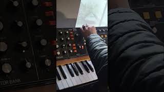 How We Make The Epic Synth Music on Quinn&#39;s Ideas #shorts