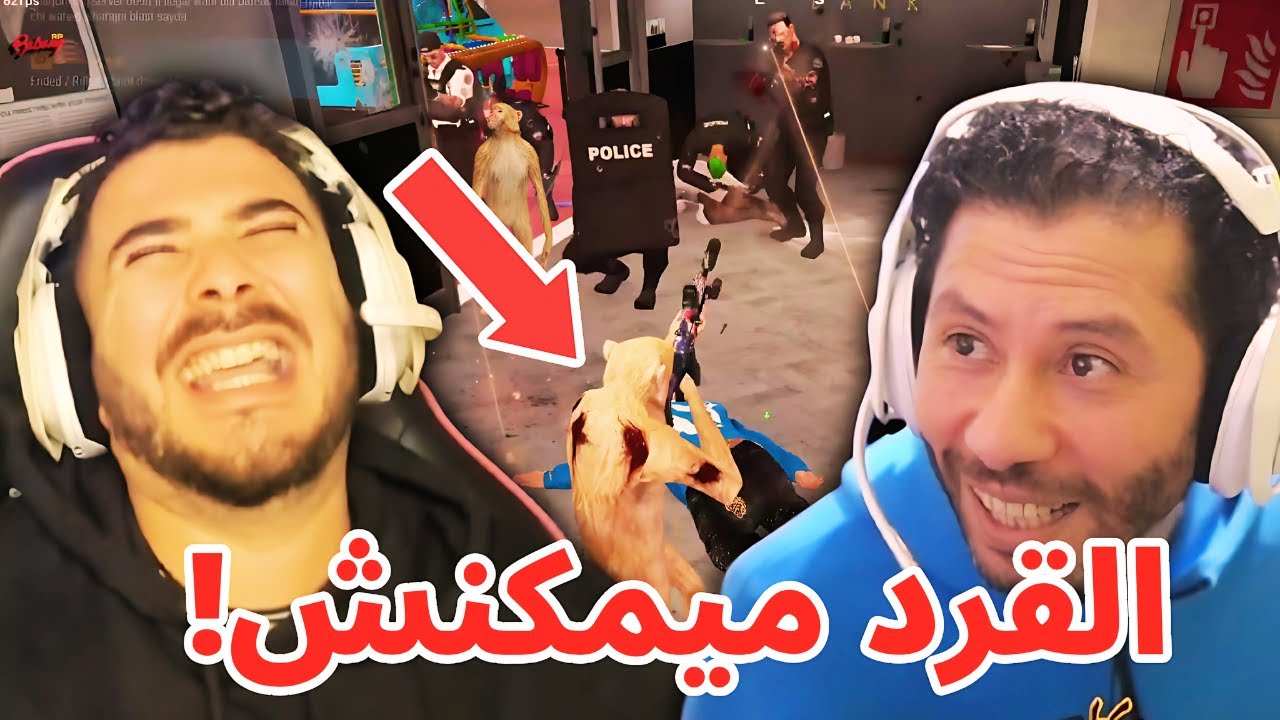 فرعون خرج علينا فبراكاج 🏃💰