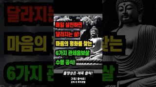 매일 실천하면 달라지는 삶, 마음의 평화를 찾는 6가지 관세음보살 수행 공식! #관세음보살 #불교명상 #마음챙김 #시니어명상 #평온한노년 #기도생활 #불자생활 #염불수행 #마음수양