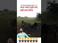 आज जाकर ड्रोन का सही इस्तेमाल हुआ है #gamin #ff #viralvideo #namasing #viral #garenafreefire #vlog