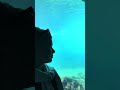 #video #youtubeshorts #reels #fyp #youtube #pov #love #happy #love #shorts #short ##foryou #new #dc
