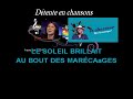 Karaoké Paroles Le Chasseur Les Oies Sauvages Yann Muller mp3