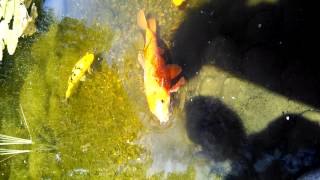 WP 20150707 055658Z