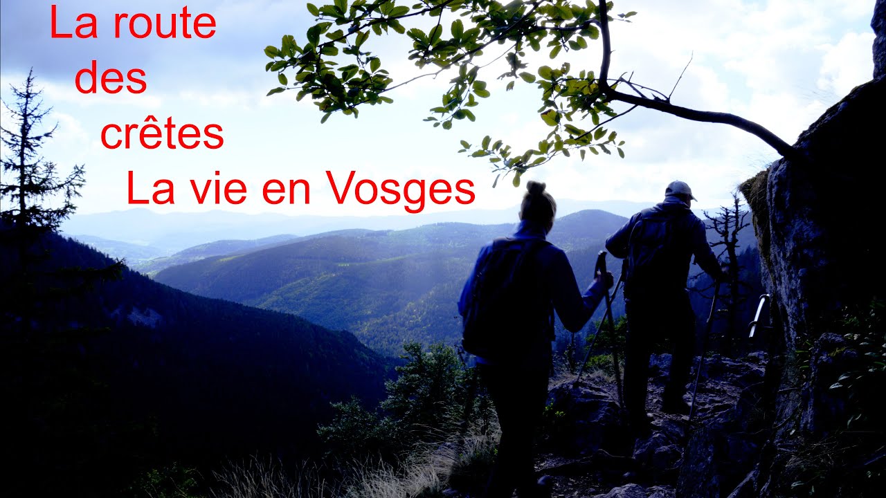 La route des crêtes dans les Vosges