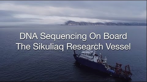 DNA sequencing on board the Sikuliaq research vessel
