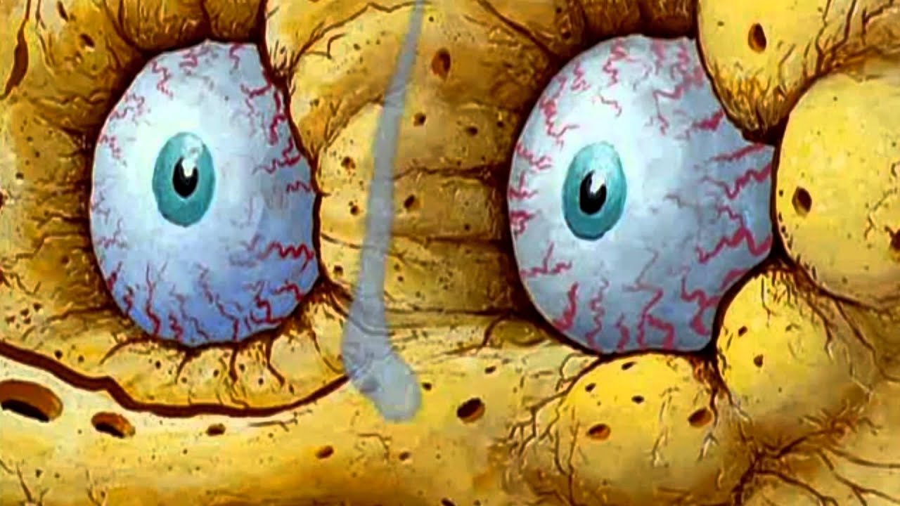 Spongebob Ich Brauch Das Nicht Youtube