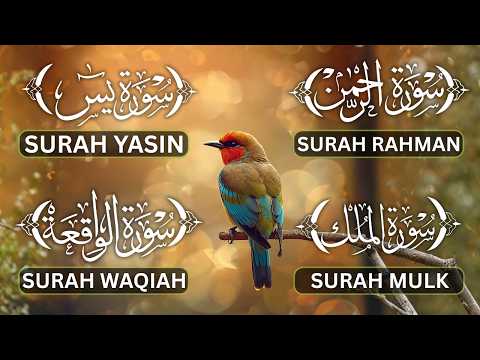 Surah Yasin, Ar Rahman, Al Waqi'ah, Al Mulk | Forgiveness of Sins & Divine Mercy | Ayub Mus'ab