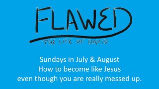Flawed - How to become more like Jesus even though you're really messed up screenshot 1
