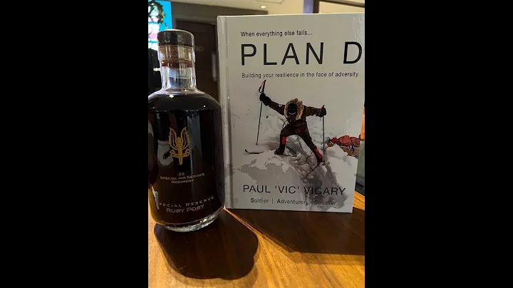 Plan D Book Review By Mark Dawes