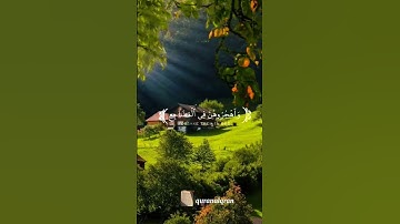 سورة النساء القارئ #ياسر_الدوسري ‎@islam_sobhi @Sonic_islami#فلسطين#السعودية#المغرب#مصر#الجزائر#تونس